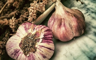 Healthy Garlic | Dr Jerod