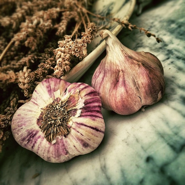 Healthy Garlic | Dr Jerod