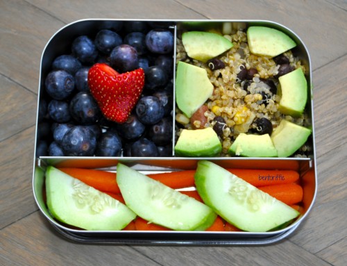 Our Favorite School Lunch Packing Items